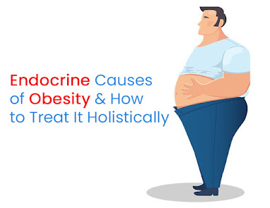 Endocrine Causes of Obesity & How to Treat It Holistically